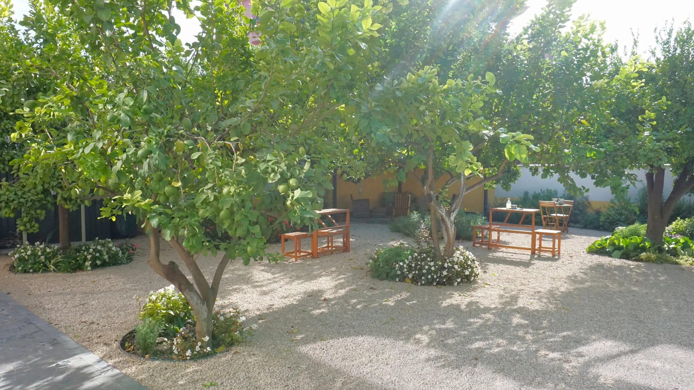 Il cortile di Domus Prete con gli alberi di limone