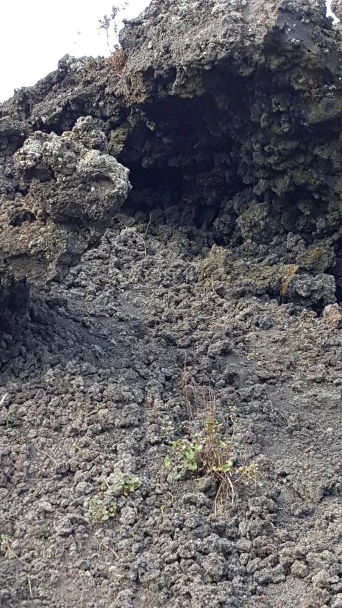 Il Vesuvio — foto 2