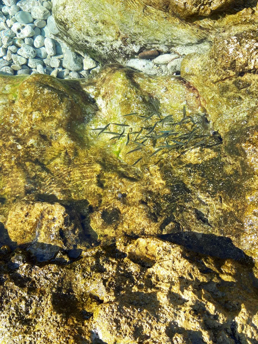I Bagni della Regina Giovanna — foto 24