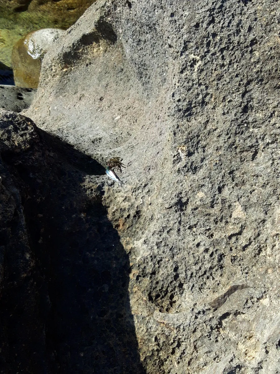 I Bagni della Regina Giovanna — foto 26