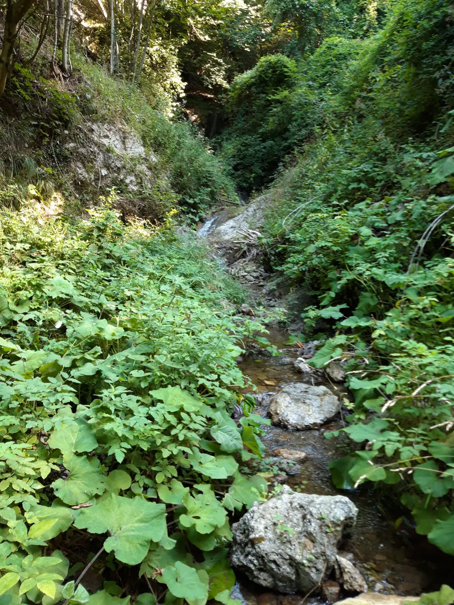 Le sorgenti di Agerola — foto 1