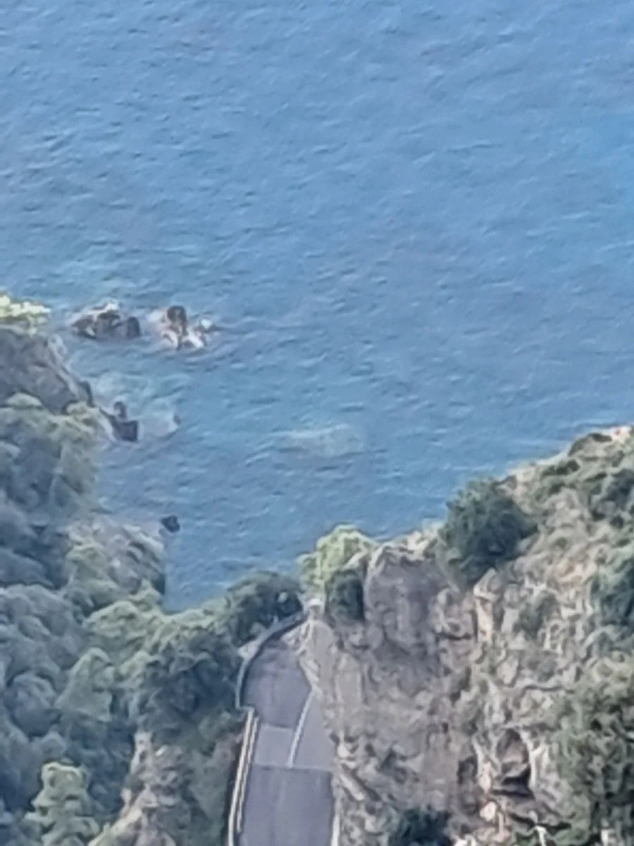 L'Ortensia