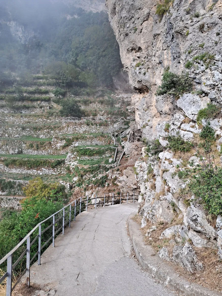 Il Ciclamino — foto 1