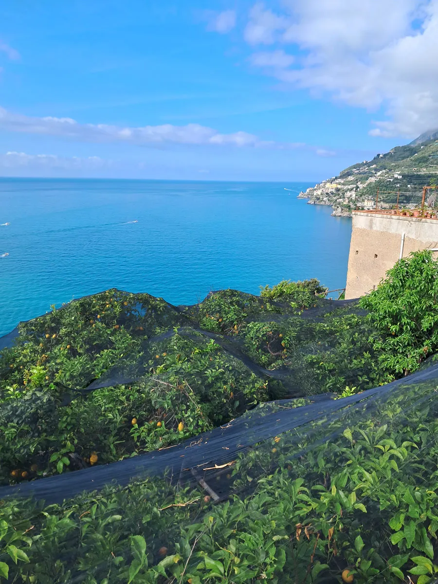 Il Sentiero dei Limoni — foto 10