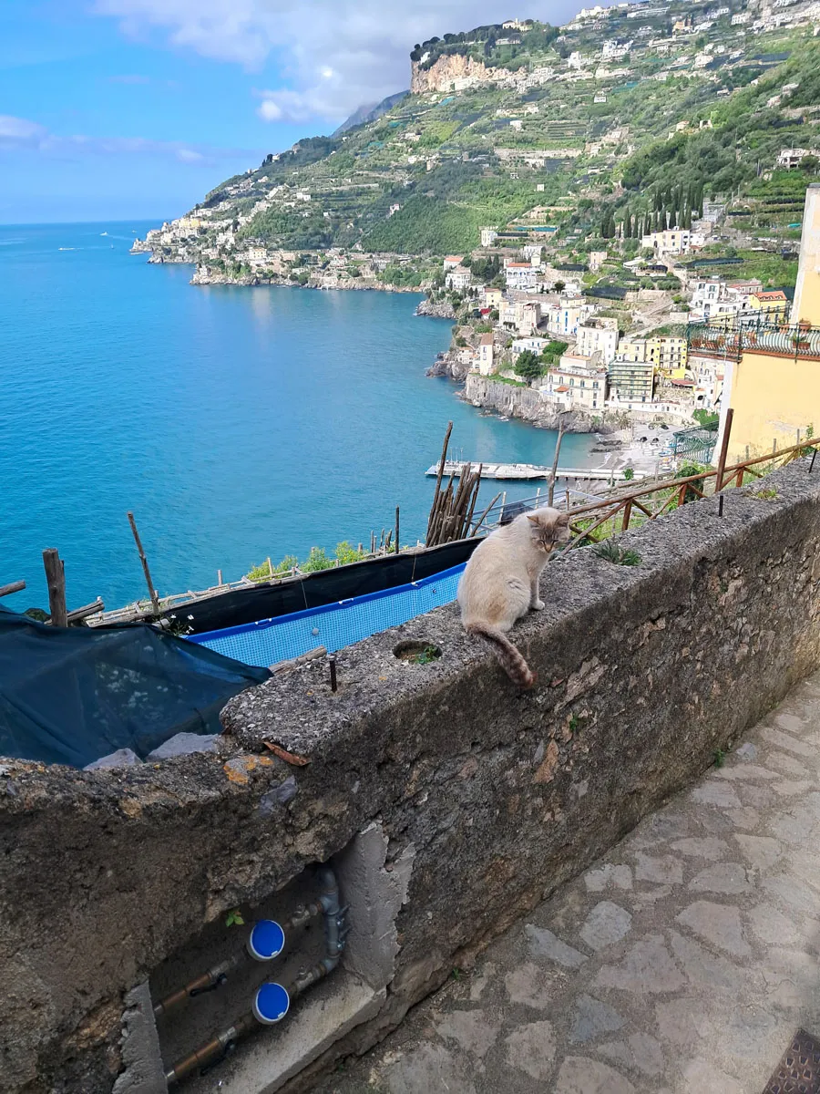 Il Sentiero dei Limoni — foto 11